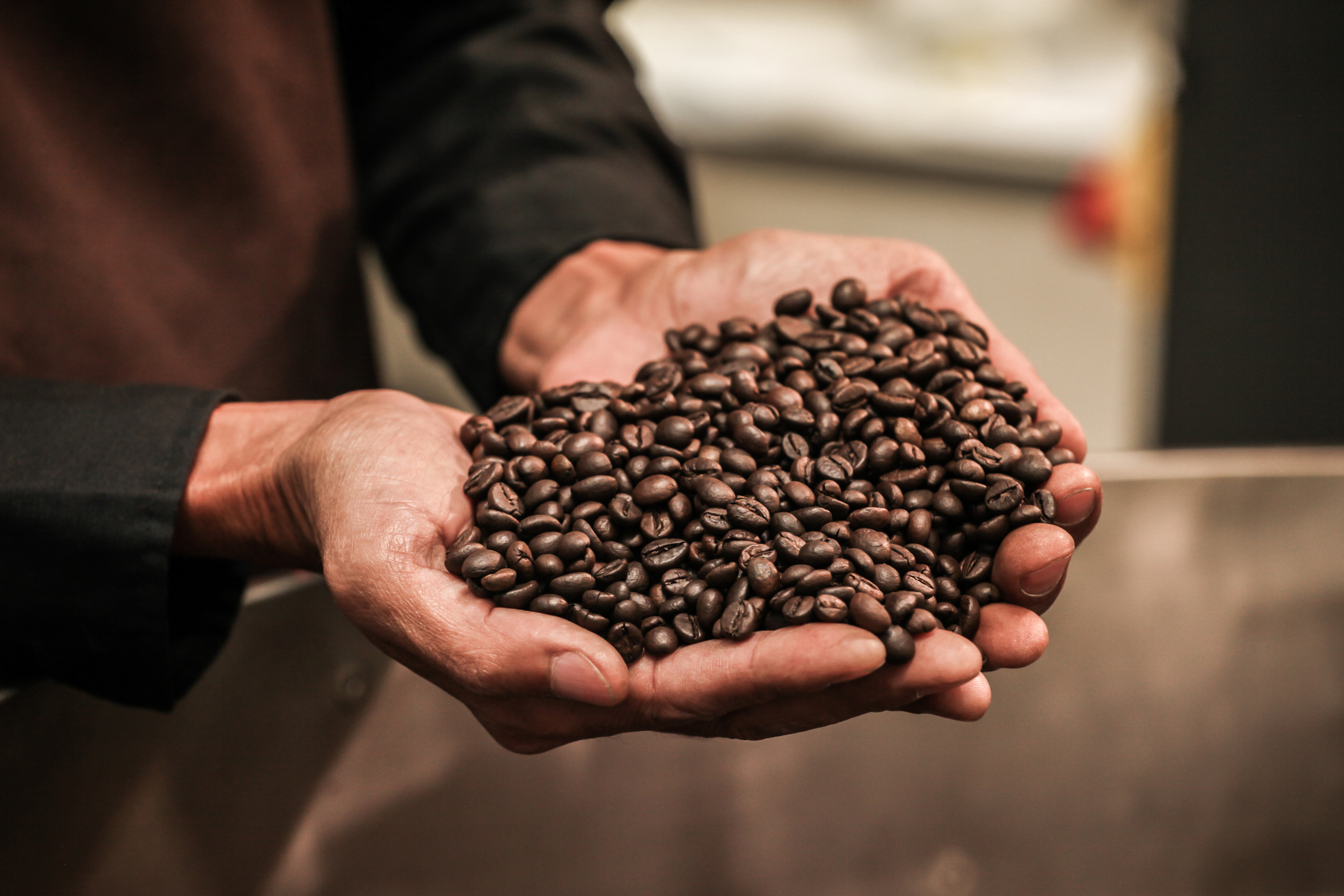 Kaffeebohnen, die mit zwei Händen gehalten werden